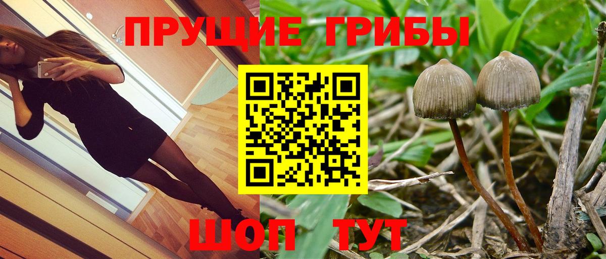 Галлюциногенные грибы GOLDEN TEACHER  Вход с VPN  даркнет сайт  Лянтор 